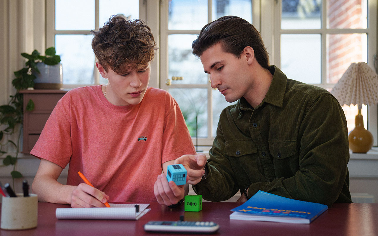 Lektiehjælp i matematik